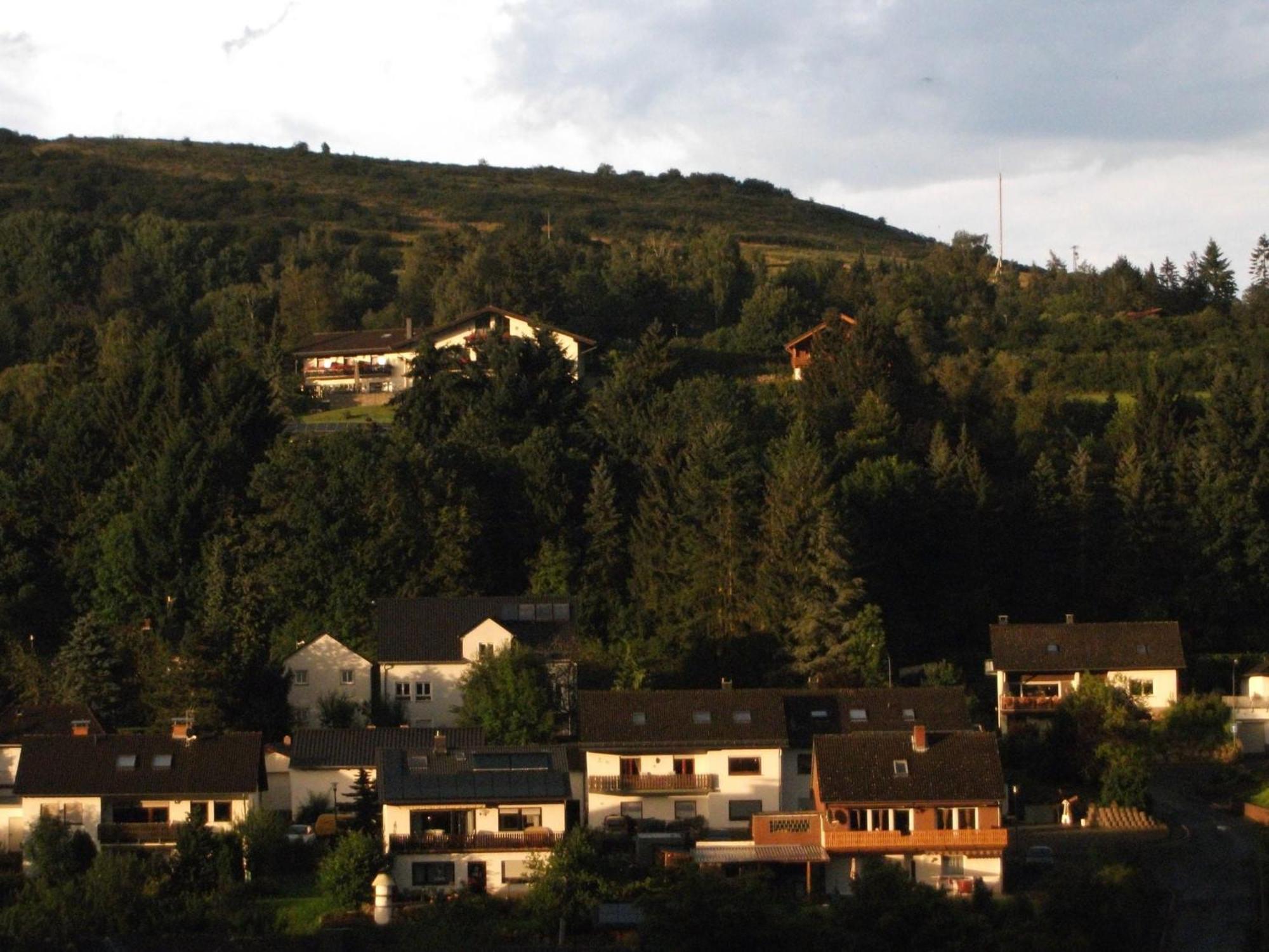 Mountain View Apartment In Mullenborn Garden Gerolstein Buitenkant foto